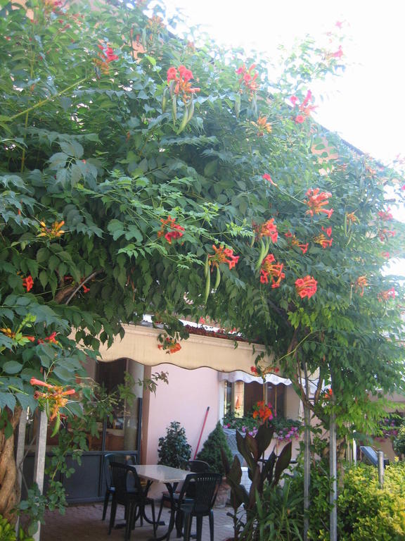 Albergo Ristorante Sterlina Grizzana Room photo